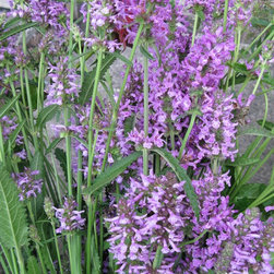 Flora Verdura - Products