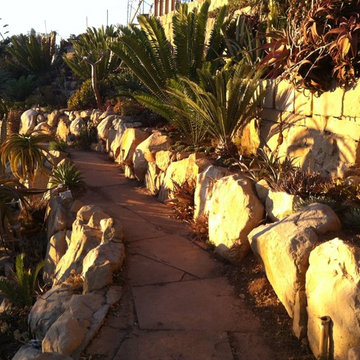 Rock Wall