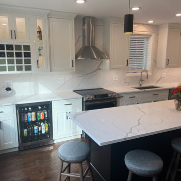 Chicago Kitchen/Dining Renovation