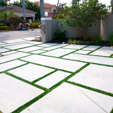 New House _Parkland
