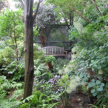 Rich Residence- A.P.L.D SIlver Award Residential Garden Design