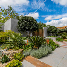 Wexico - garden