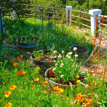 Deck And garden