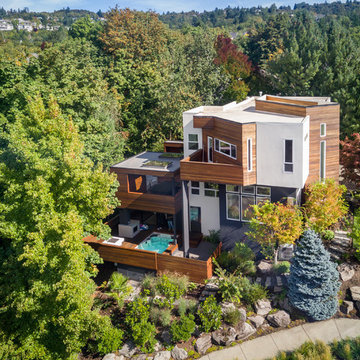 Bird's Nest Modern Living