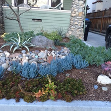 Front yard