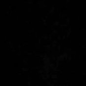 Abu Khouri's photo