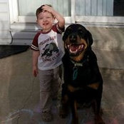 Gail Barron's photo