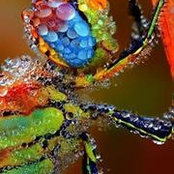 Kathleen Sinclair's photo
