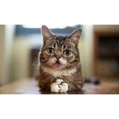 Dawn Ericksen's photo