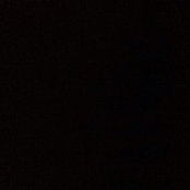 Nancy Dorsey's photo