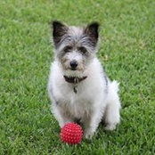 Sam Bongers's photo
