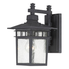 Nuvo 1-Light Incandescent Wall Mount Light Fixture, Textured Black