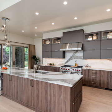 Magnificent Modern Transformation333
