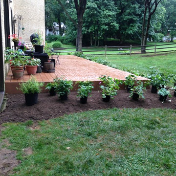 Media - Colorful Perennials