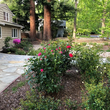 Front Yard Slow and Patient Remodel