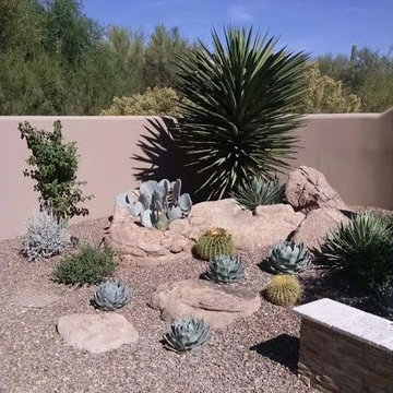 Landscape