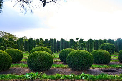 Eichlers Pflanzensafari - Garteninspiration für unsere Kunden