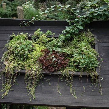 Green Arbor
