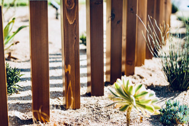 ミッドセンチュリースタイルのおしゃれな庭の写真