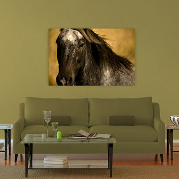 Canvas Gallery Prints