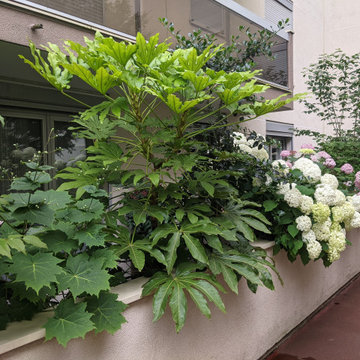 Terrasse Gambetta