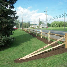Landscaping Ideas