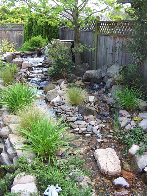 Stream Landscape Ideas, Designs, Remodels & Photos