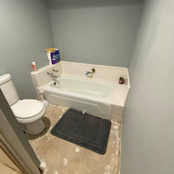 Bathroom Update