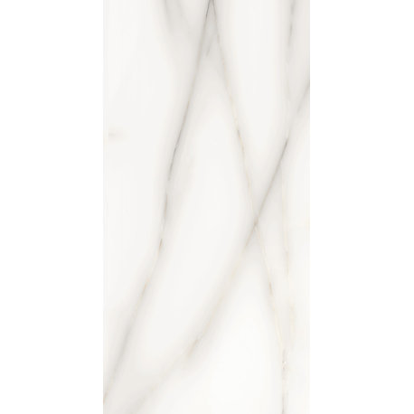 24"x48" Porcelain Marble Look High Glossy Wall and Floor Tile