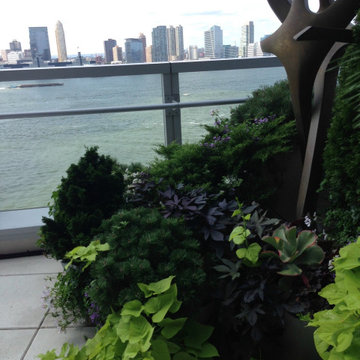 Battery Park City Terrace