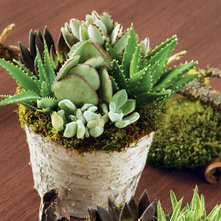 Rustic Indoor Pots And Planters by Olive & Cocoa