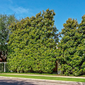 Highland Park Property