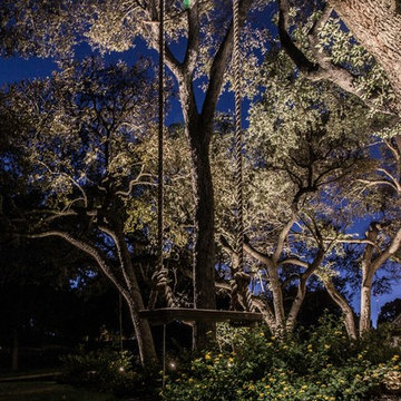 Mt. Bonnell Brilliance