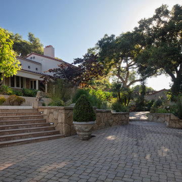 Buena Vista - Santa Barbara, CA