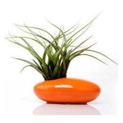 Mod Saucer Planter - Orange - Indoor Pots And Planters