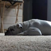 Amanda Lowery's photo