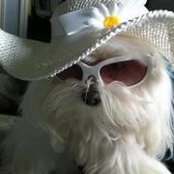 Carol Robbins's photo