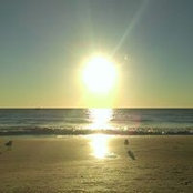 Valerie Zanella-Hansen's photo