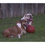 Mark McKee's photo