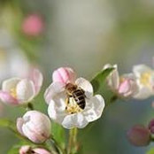 Lori Meehan's photo