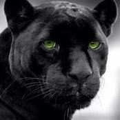 Foto de Daimon Jones