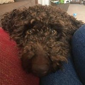 Foto von Penny Morrow-Brown