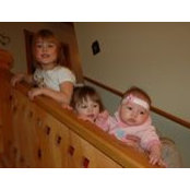Donna Siefken's photo