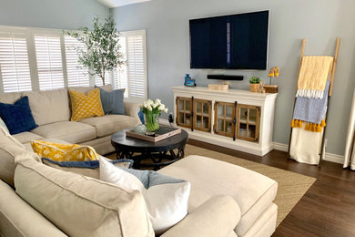Living room - living room idea in San Diego