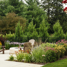 Landscaping - plants for beds ideas