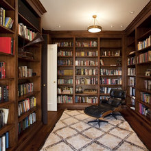 Den/Shelves in Den