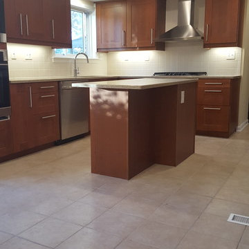 Ann Arbor Kitchen/Dining Room