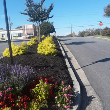 Mulch