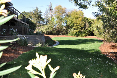 Design ideas for a mid-century modern landscaping in San Francisco.