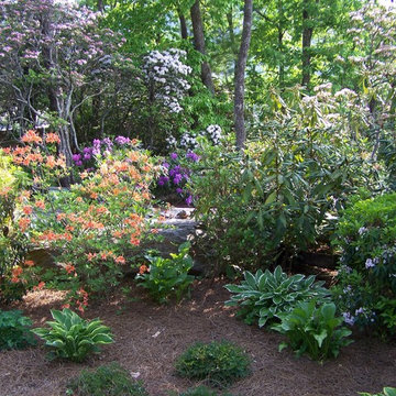 Ellen's Garden Landscape and Water Feature Fountain/Pond (Design/Build/Maintain)